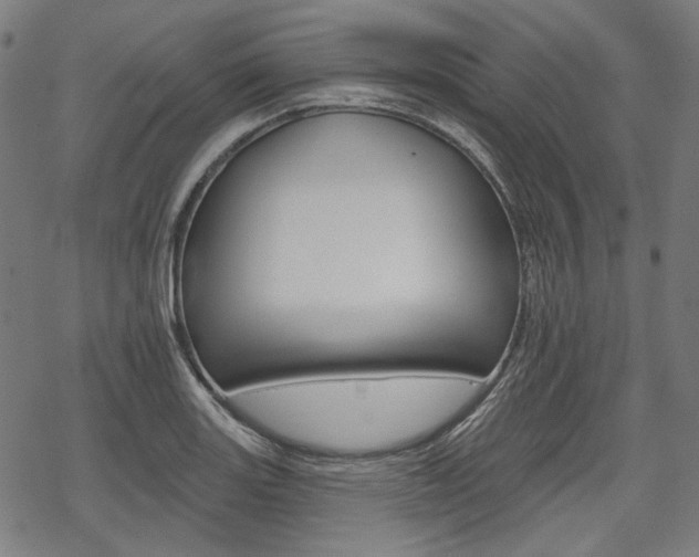 X0000069381131200605120911