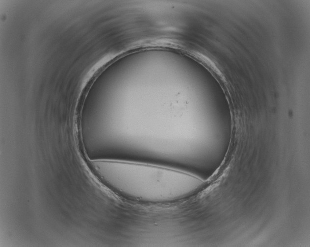 X0000069381133200605120911
