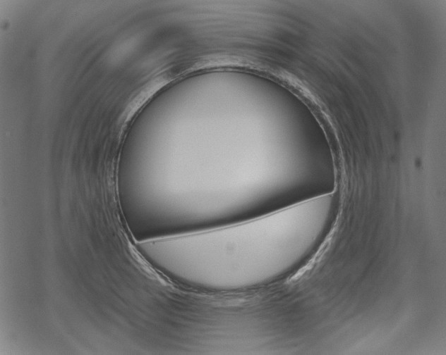 X0000069381137200605120911