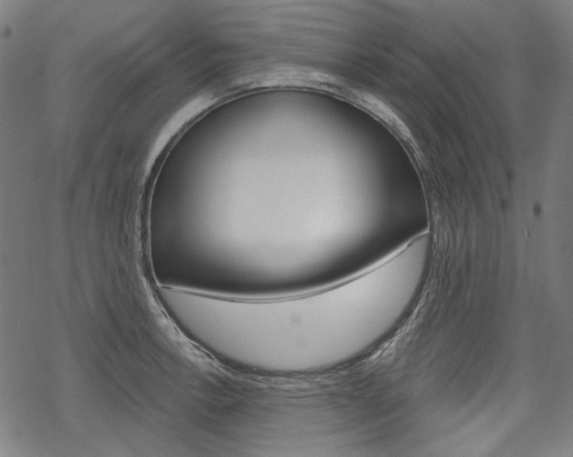 X0000069381138200605120911