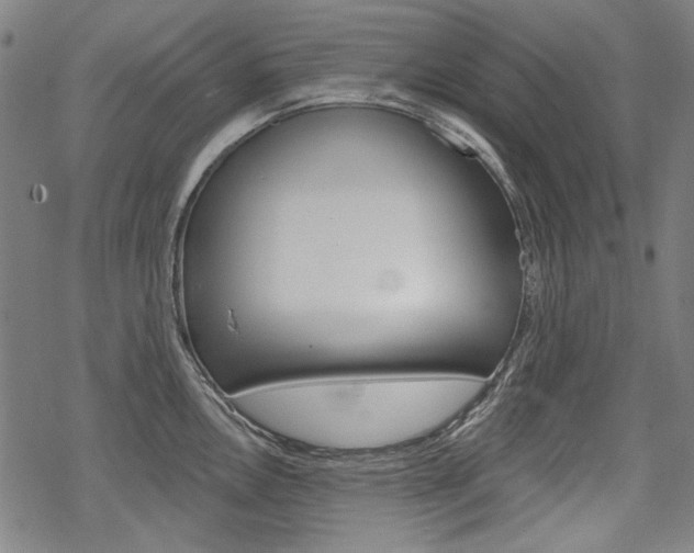 X0000069381146200605120911