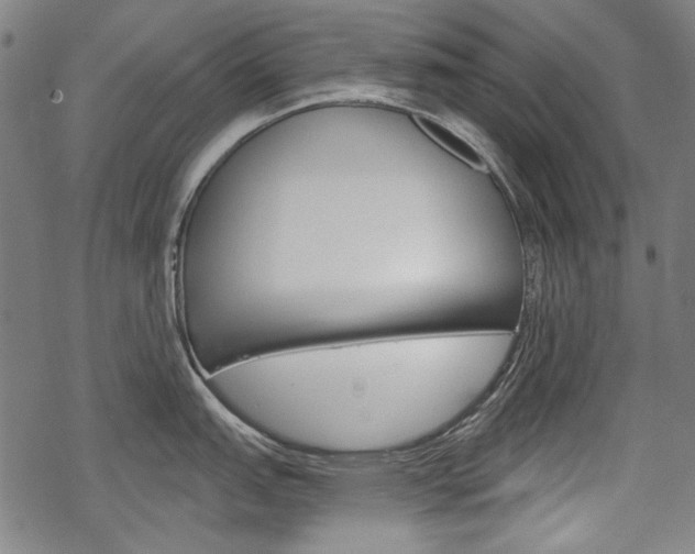 X0000069381151200605120911