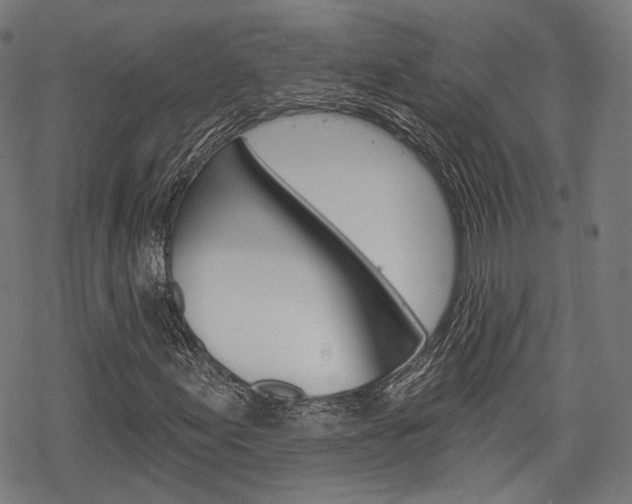 X0000069381155200605120910