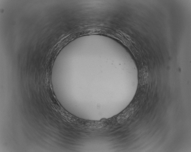 X0000069381158200605120910