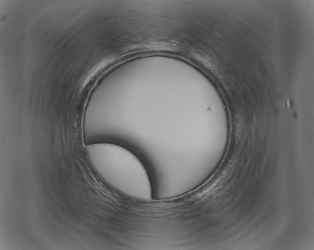 X0000069381163200605120910
