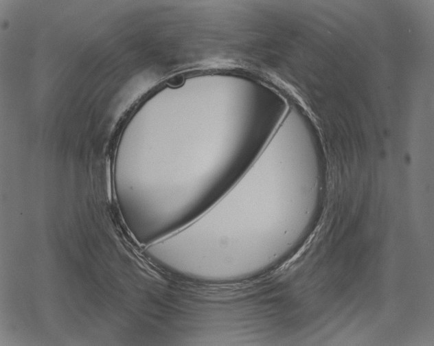 X0000069381171200605120910