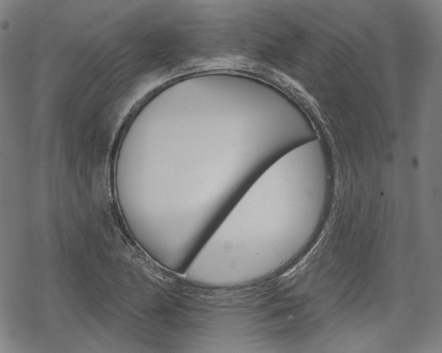 X0000069381174200605120910