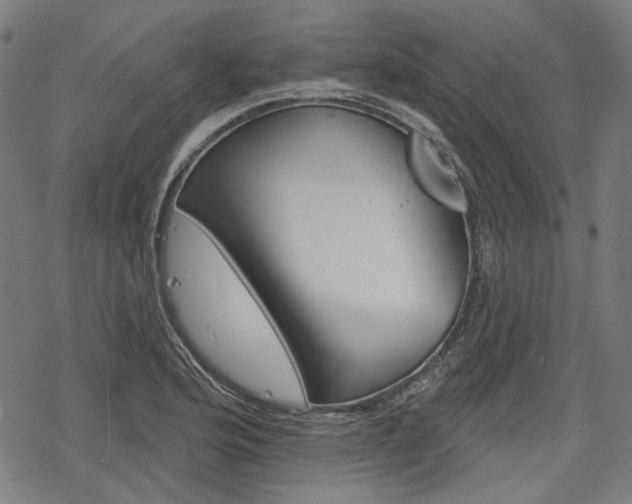 X0000069381176200605120910