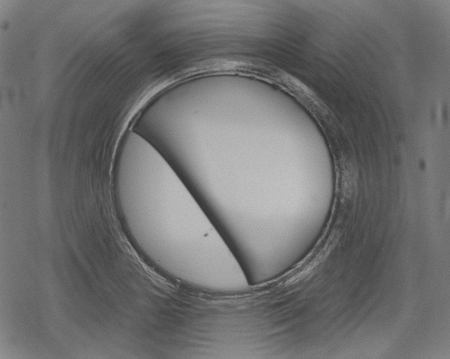 X0000069381178200605120910