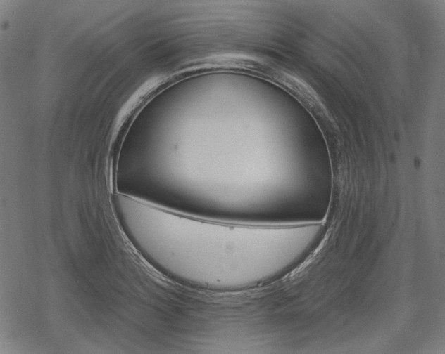 X0000069381180200605120910