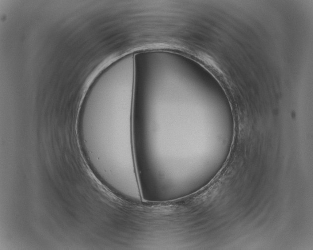X0000069381181200605120910
