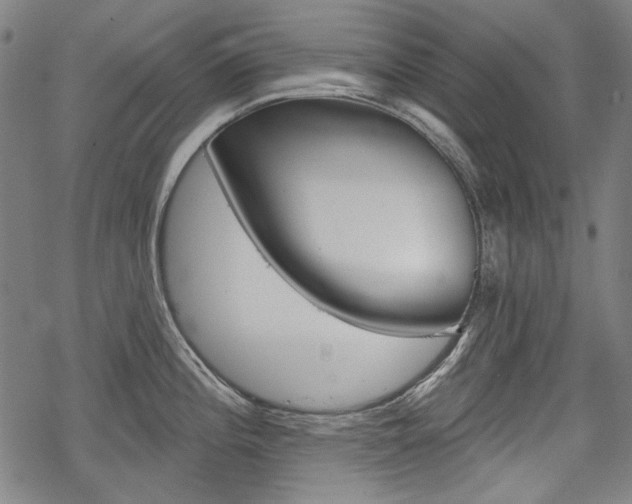 X0000069381196200605120910