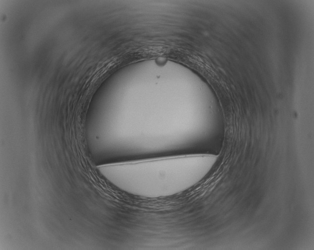X0000069381201200605120909