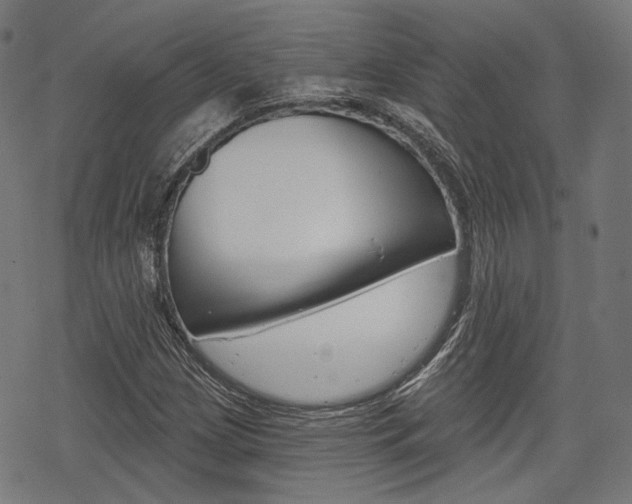 X0000069381209200605120909