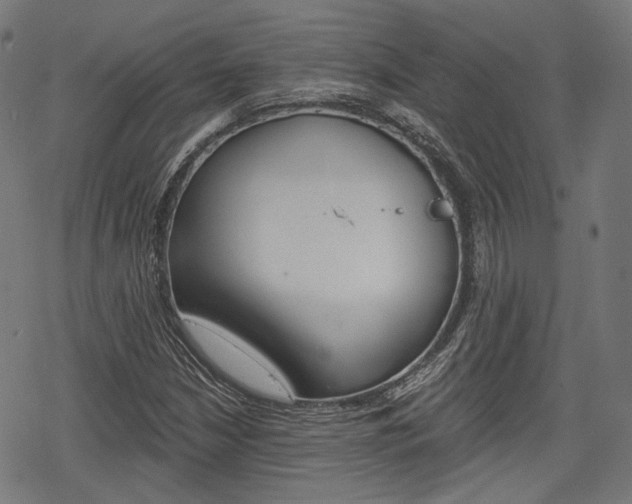X0000069381210200605120909