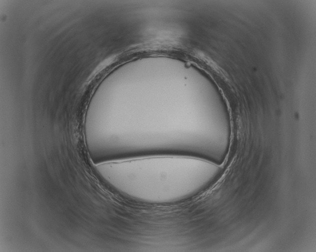 X0000069381213200605120909