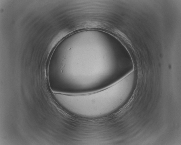 X0000069381226200605120909
