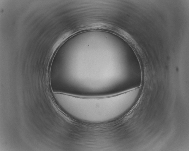 X0000069381234200605120909