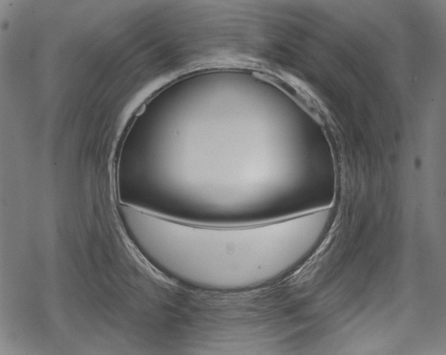 X0000069381238200605120909
