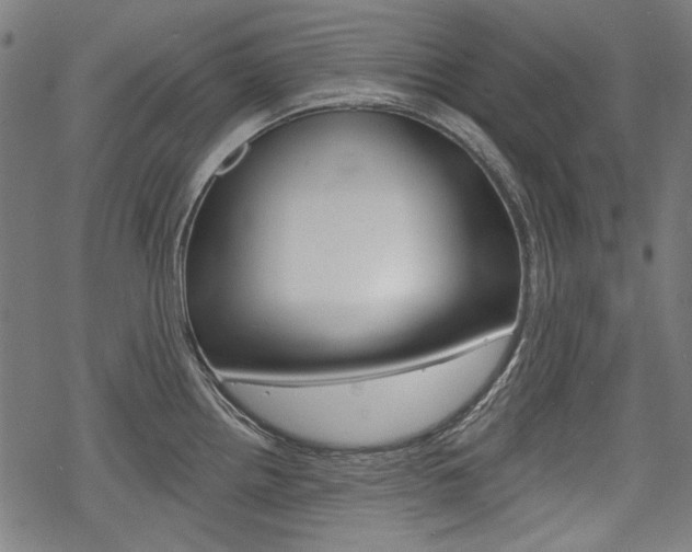 X0000069381242200605120909