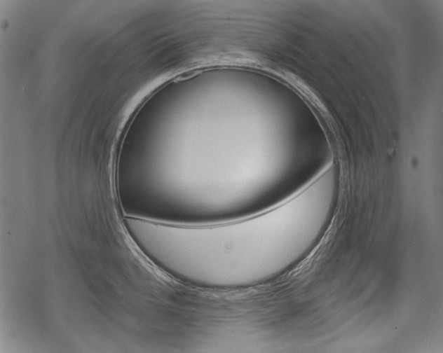 X0000069381246200605120909