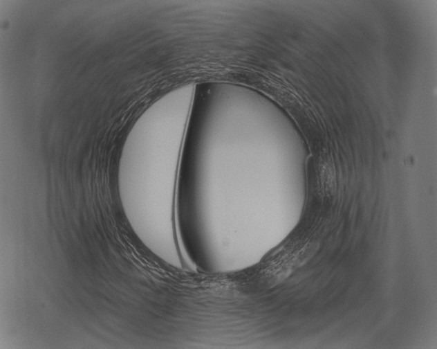 X0000069381250200605120909