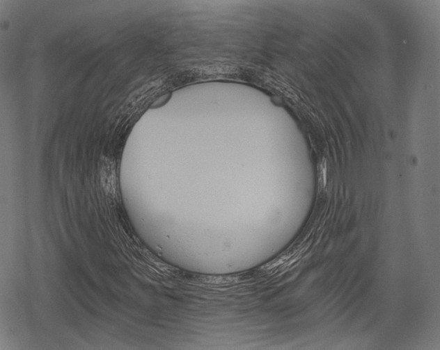 X0000069381251200605120909