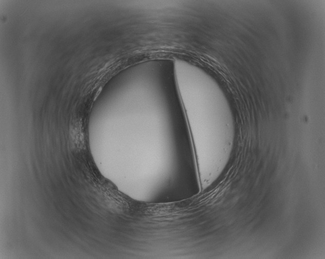X0000069381252200605120909