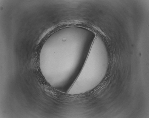 X0000069381256200605120909