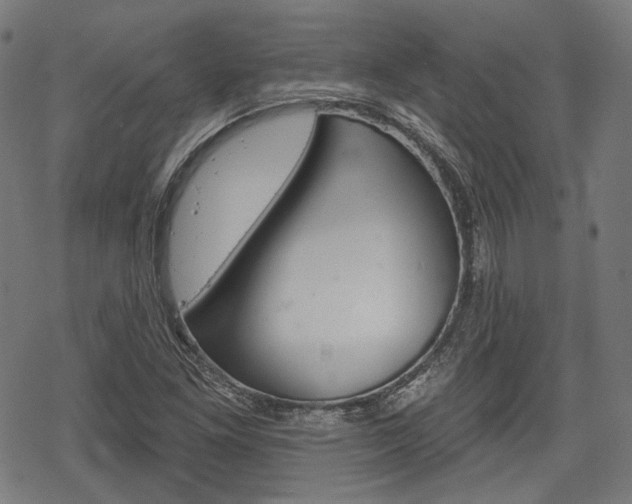 X0000069381261200605120909