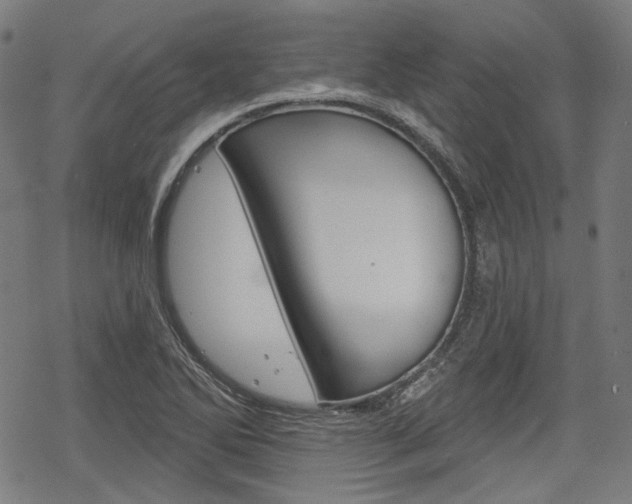X0000069381270200605120908