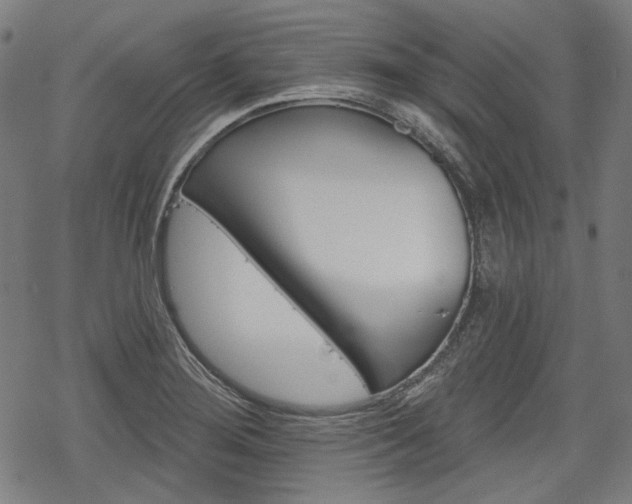 X0000069381276200605120908