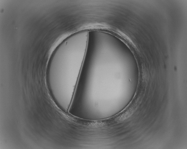X0000069381277200605120908