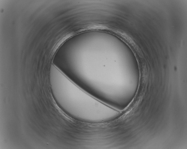 X0000069381281200605120908