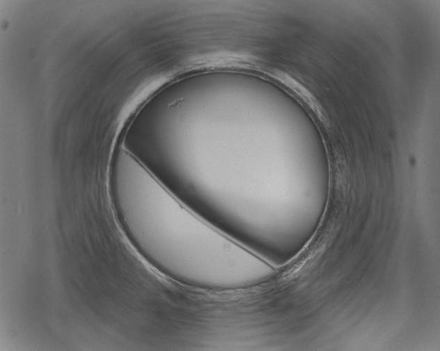 X0000069381285200605120908