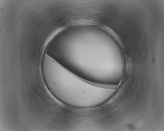 X0000069381293200605120908