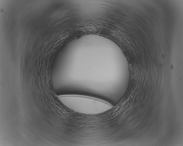 X0000069381297200605120907