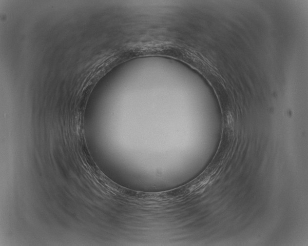 X0000069381300200605120907