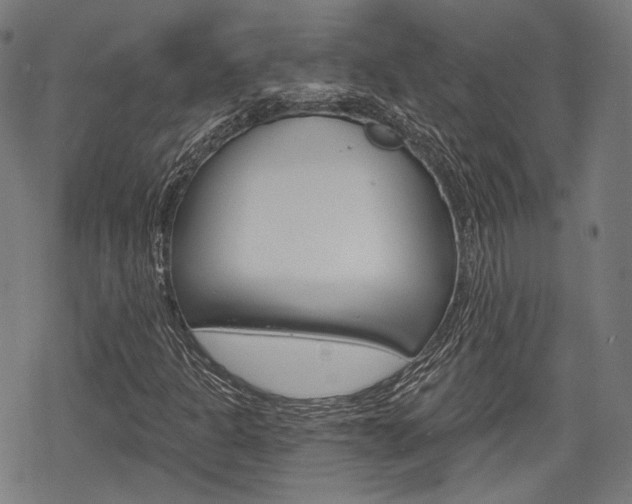 X0000069381301200605120907