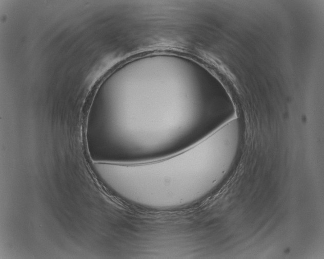 X0000069381316200605120907
