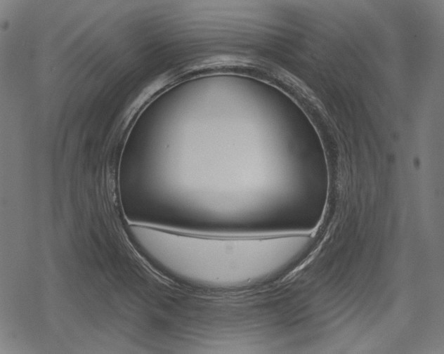 X0000069381321200605120908