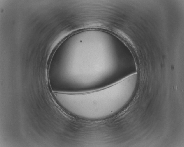 X0000069381324200605120908