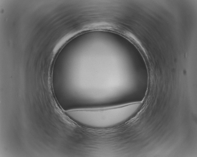X0000069381336200605120908