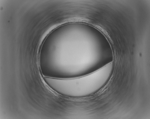 X0000069381342200605120908