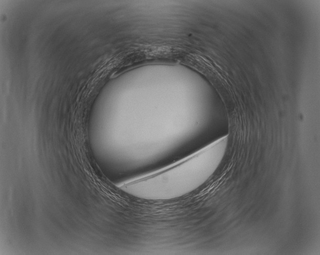 X0000069381345200605120907