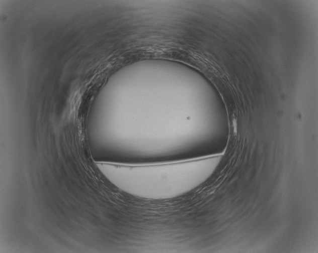 X0000069381347200605120907