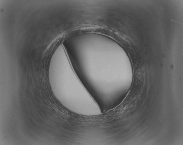 X0000069381351200605120907