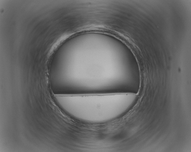 X0000069381363200605120907