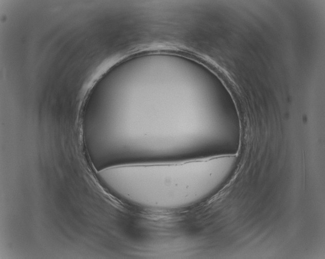 X0000069381367200605120907