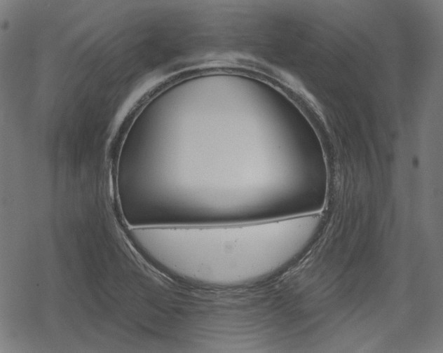 X0000069381368200605120907